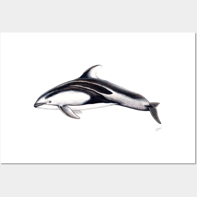 Pacific white-sided dolphin (Lagernorhynchus obliquidens) Wall Art by chloeyzoard